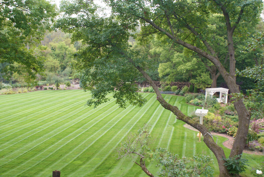 Lawn Maintenance