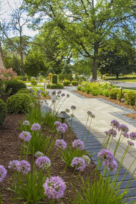 Softscape Front Walk Flowers